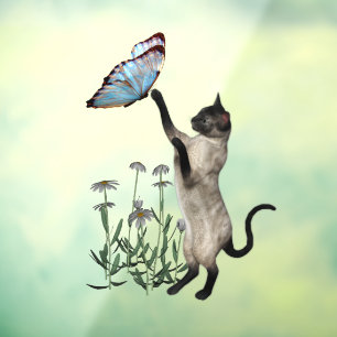 Vinilos Para Cristales Gato siamés con animal de mariposa azul