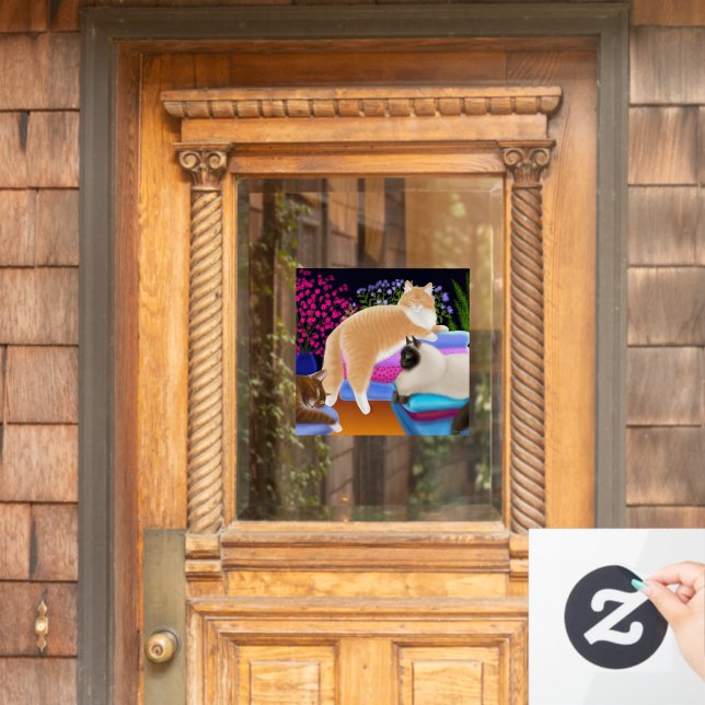 Vinilos Para Cristales Gatos Kitty Aman Lavandería Limpia Lluvia (Puerta de casa)