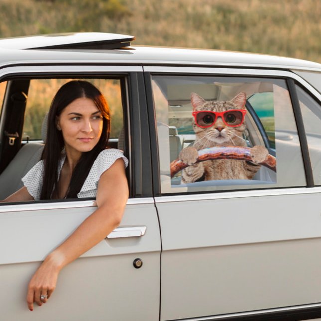 Vinilos Para Cristales Graciosa sombrilla de auto de conducción para gato (Subido por el creador)