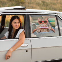 Graciosa sombrilla de auto de conducción para gato