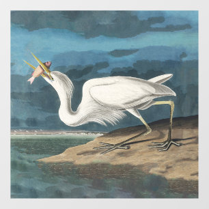 Vinilos Para Cristales Gran pintura de vida silvestre de la garza Audubon