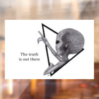 Grey Alien, la verdad está ahí fuera
