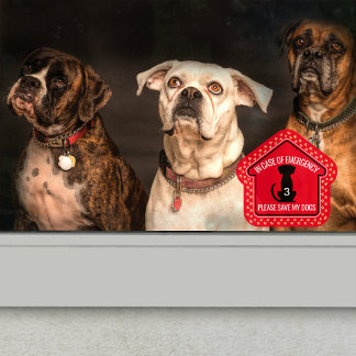 Vinilos Para Cristales Guardar mi Personalizado de alerta de seguridad de