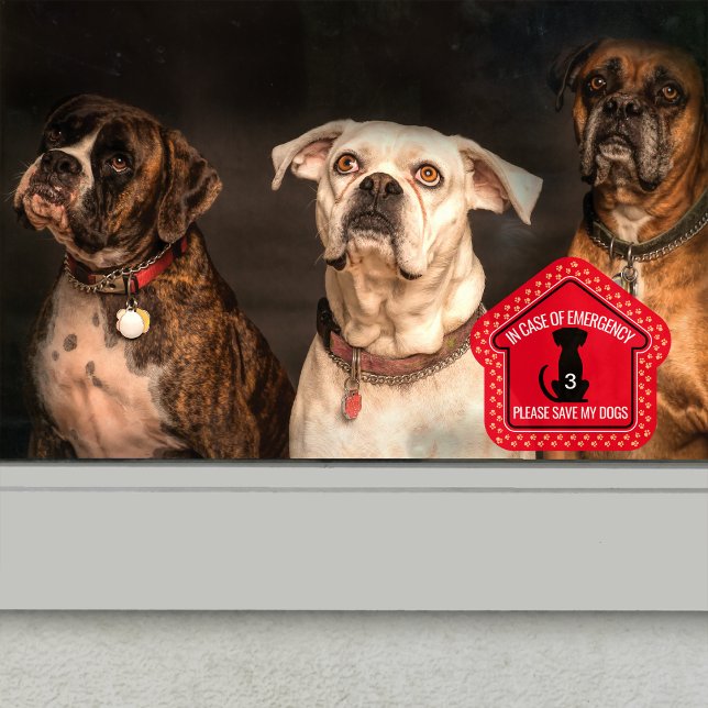 Vinilos Para Cristales Guardar mi Personalizado de alerta de seguridad de (Subido por el creador)