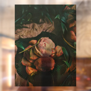 Vinilos Para Cristales Helados rociados