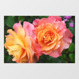 Vinilos Para Cristales Hermosa foto de rosa rosa y naranja