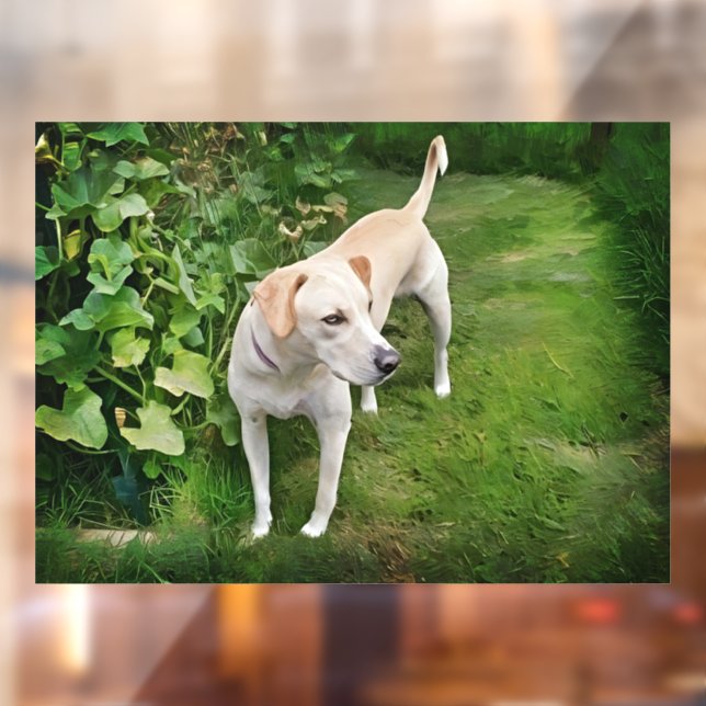 Vinilos Para Cristales Hermosa ventana de leopardo de Catahoula (Hoja 2)