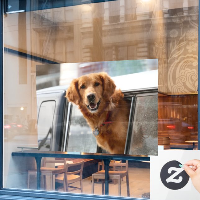 Vinilos Para Cristales Hola (Ventana de cafetería)