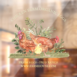 Vinilos Para Cristales huevo orgánico de granja de pollos Chick