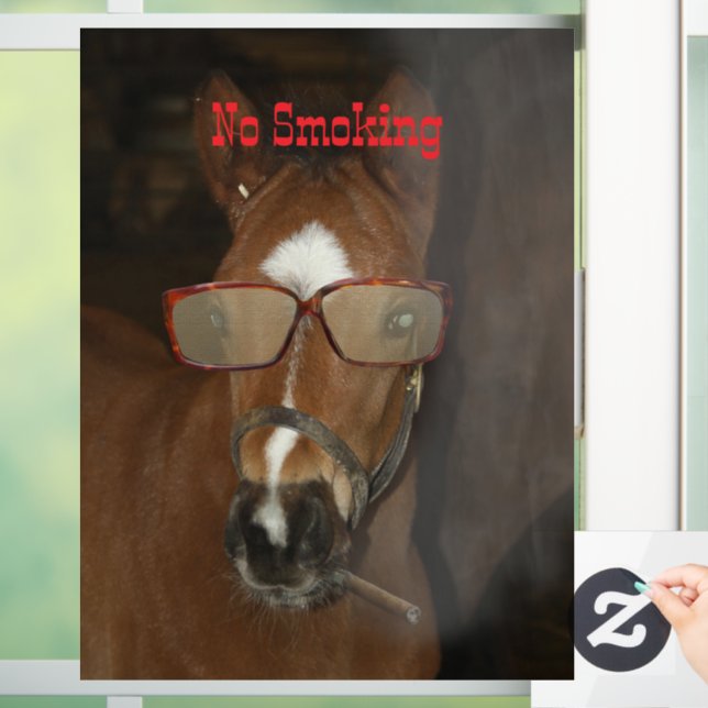 Vinilos Para Cristales Humorous Horse Foal Smoal Cigar Window Cling (Hogar)