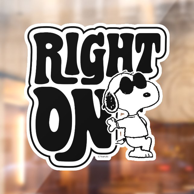 Vinilos Para Cristales Joe Guay - Correcto (Hoja 2)