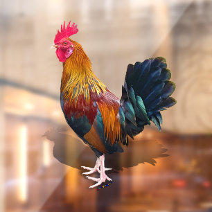 Vinilos Para Cristales Key West - Gypsy Rooster