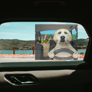 Vinilos Para Cristales Labrador Retriever Divertido Conduciendo Coche Par