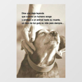 Vinilos Para Cristales Leyenda sobre las aves marinas