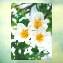 Vinilos Para Cristales Leyendas blancas - Símbolo de amor