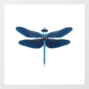 Vinilos Para Cristales Libélula Azul - Entomólogo Amante de la Fauna Inse