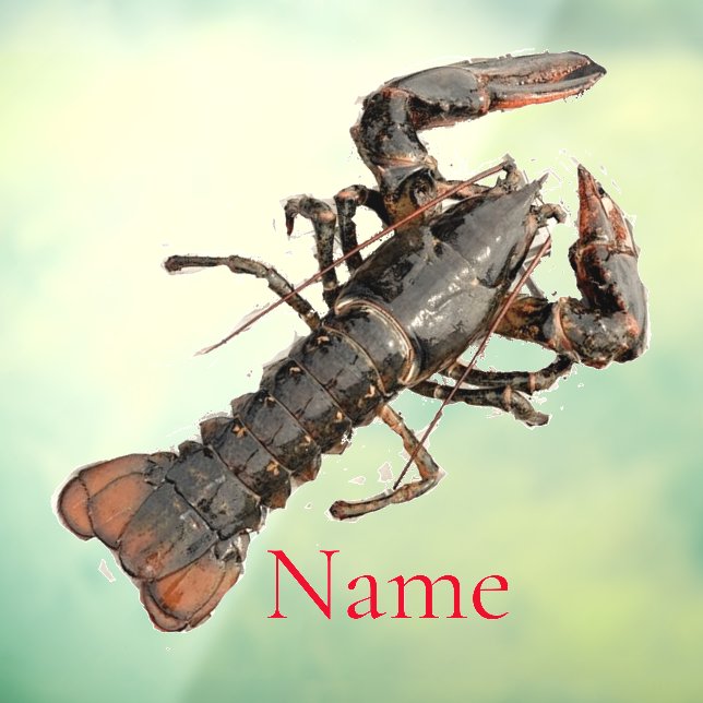 Vinilos Para Cristales Lobster de Maine fresco Thunder_Cove (Hoja 3)