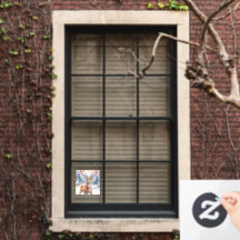 Maravilla de renos: colisos de vacaciones