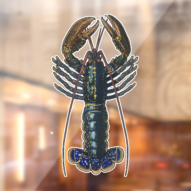 Vinilos Para Cristales Marisco de langosta Maine Classic Ocean (Hoja 2)