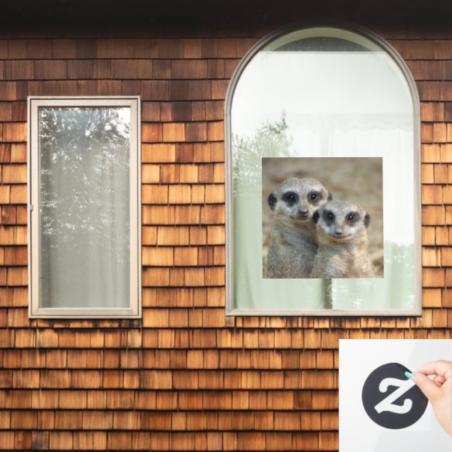 Vinilos Para Cristales Meerkat 085 (Ventana de inicio)