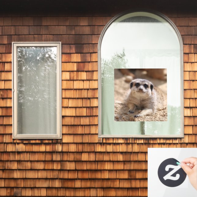 Vinilos Para Cristales Meerkat 174 (Ventana de inicio)