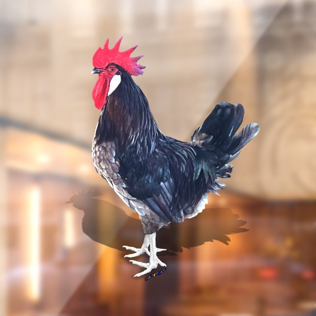 Vinilos Para Cristales Menorca Rooster (Hoja 2)