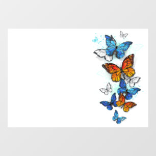Vinilos Para Cristales Morfo y monarca de las mariposas voladoras