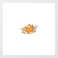Naranja amarillento, decorativo amarillo anaranjad