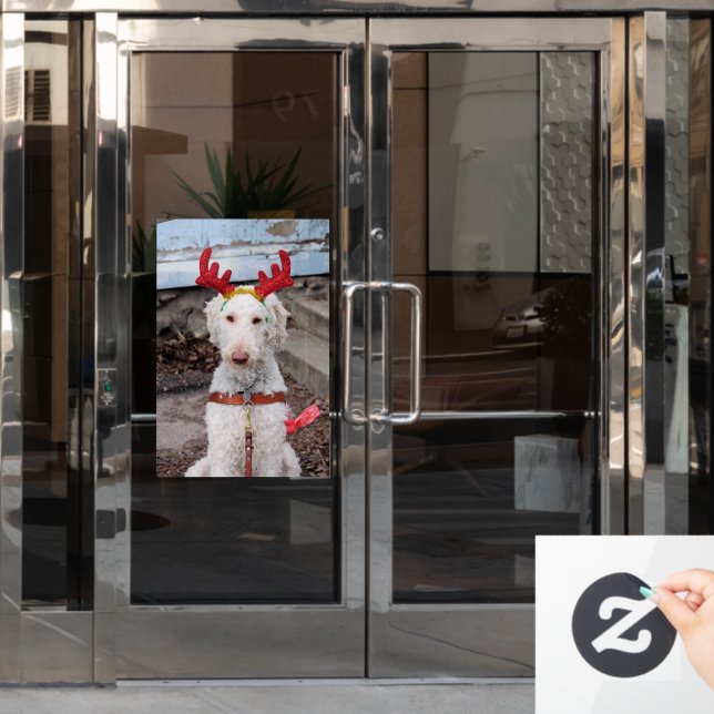 Vinilos Para Cristales Navidades Ollie (Puerta de oficina)