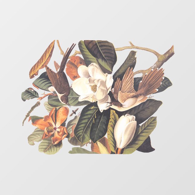 Vinilos Para Cristales Pájaro Cuckoo (Hoja)