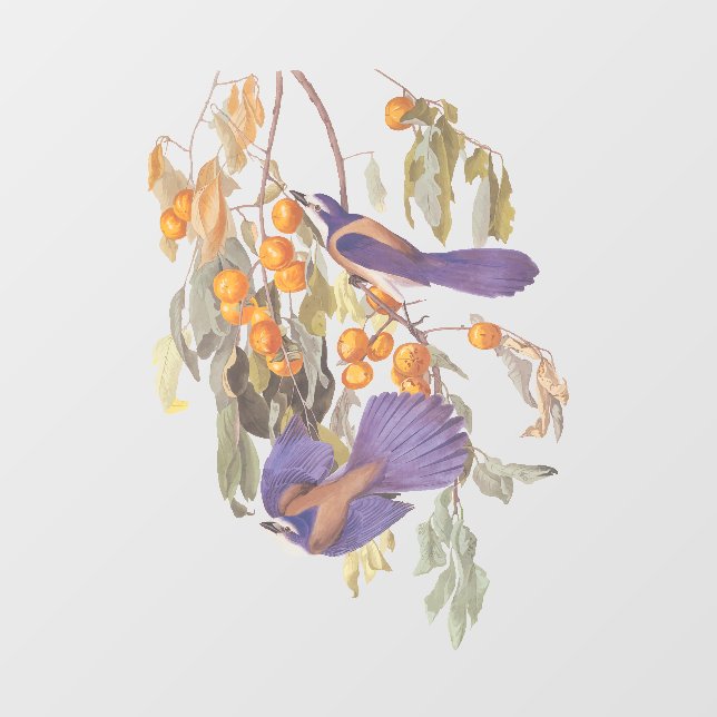Vinilos Para Cristales Pareja de pájaros de Jay Audubon, el crudo de Flor (Hoja)