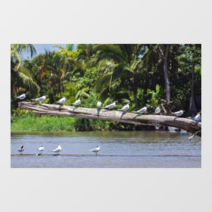 Vinilos Para Cristales Patrones reales, estuario del río Tortuguero - Cos