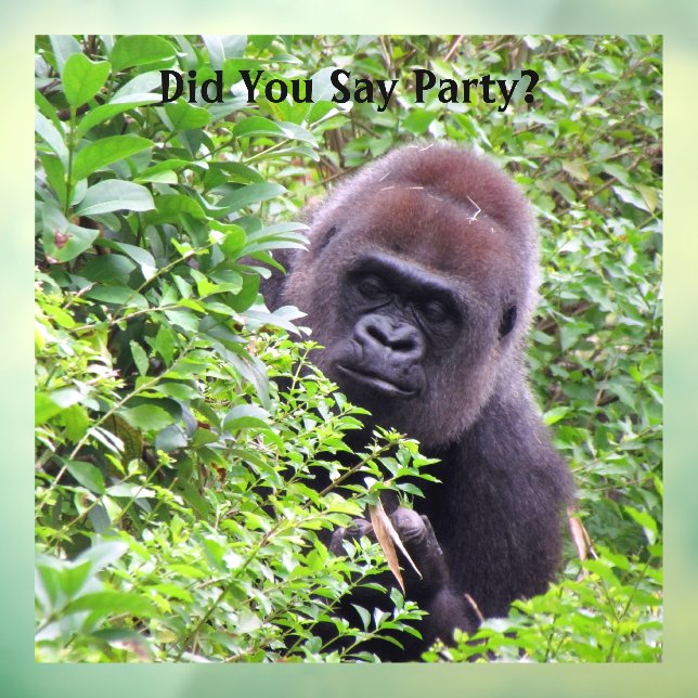 Vinilos Para Cristales Peek-A-Boo Gorilla Window Cling (Hoja 3)