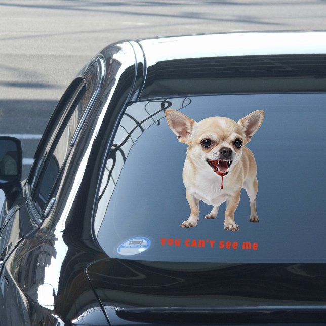 Vinilos Para Cristales Personalised You Can't See Me Chihuahua WWE Car (Subido por el creador)