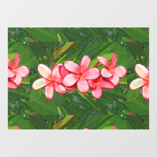 Vinilos Para Cristales plumeria