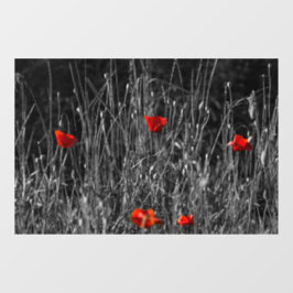 Vinilos Para Cristales Póster - Amapolas de Soledad Roja