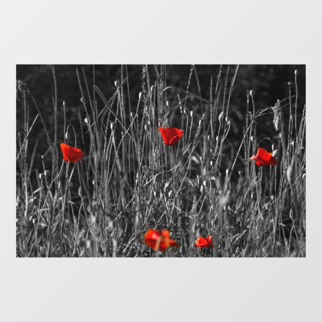 Vinilos Para Cristales Póster - Amapolas de Soledad Roja (Hoja)