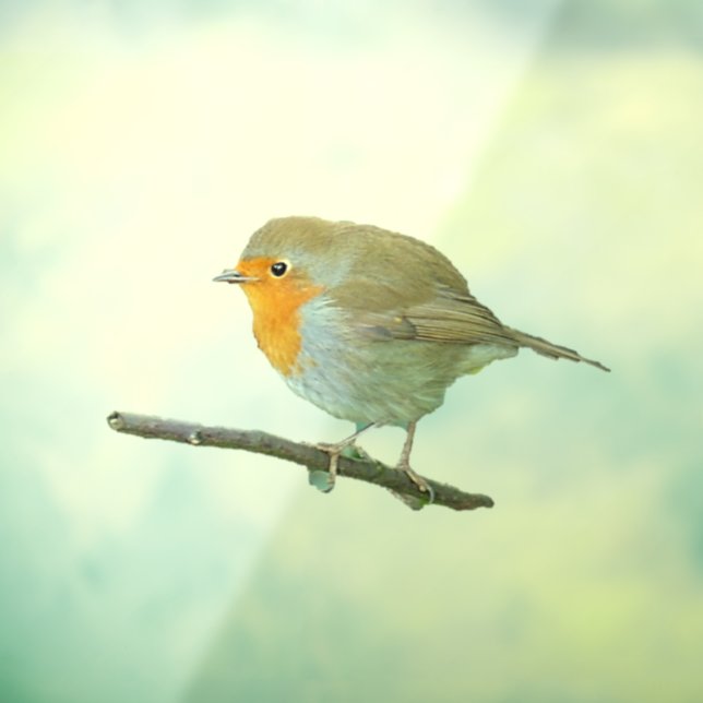 Vinilos Para Cristales Robin Redmama Window Cling (Hoja 3)