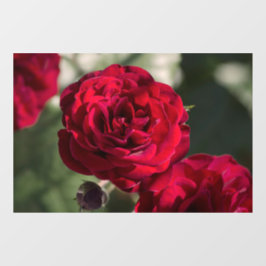 Vinilos Para Cristales Rosas de Adhesivo para Ventana - Resplandor de Ter