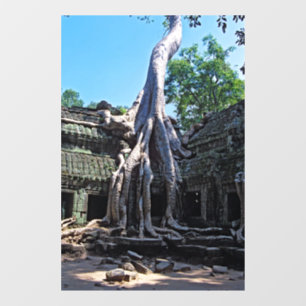 Vinilos Para Cristales Ruina de Ta Prohm - Angkor Wat, Camboya, Asia