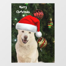 Santa Paws - Crystal the Husky Dog Navidades