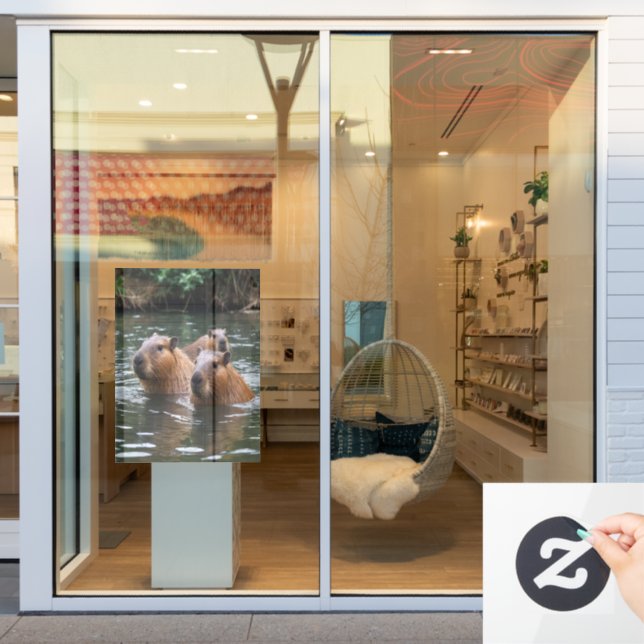 Vinilos Para Cristales "Serenidad fluvial: Capybaras nadando en el caudal (Ventana de la tienda)