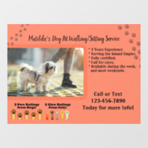 Servicio personalizado de paseo y cuidado de perro