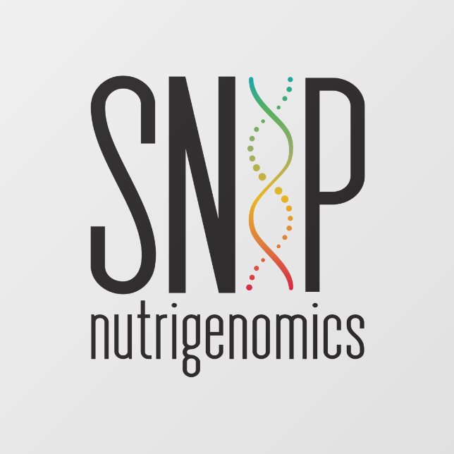 Vinilos Para Cristales SNiP transparente (Hoja)