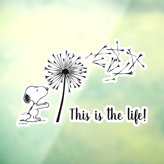 Vinilos Para Cristales Snoopy con Dandelion (Hoja 3)
