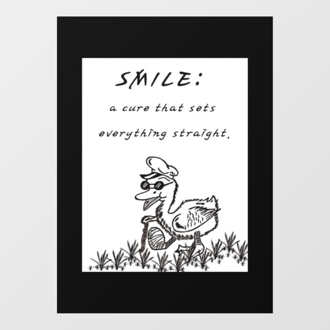 VINILOS PARA CRISTALES SONRÍAS QUE CURAN (Hoja)