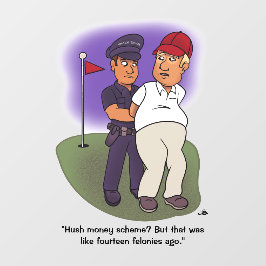 Vinilos Para Cristales Trump Felonies