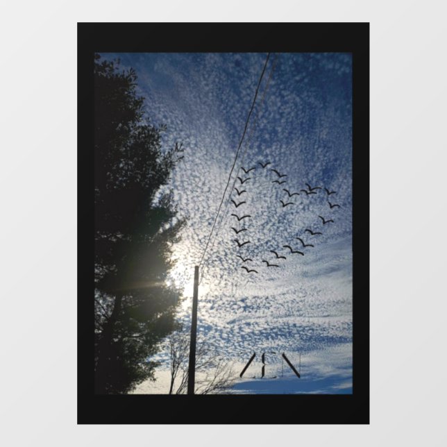 Vinilos Para Cristales Ventana de llamada (Hoja)