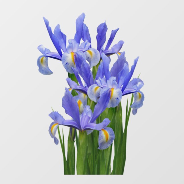 Vinilos Para Cristales Ventana Decal 2 - Collar frontal - elegir tamaño (Hoja)