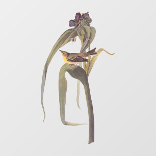 Vinilos Para Cristales Vigor Vireo Songbird de Audubon